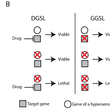A Diagram And Concept Of Discovering Drug Target Using The