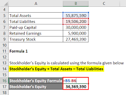 That means now company can be formed. Stockholder S Equity Formula Calculator Excel Template