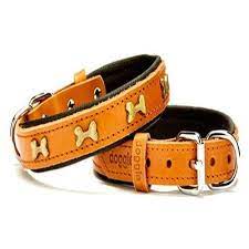 doggie comfort yumusak dokulu metal kemik suslu kopek boyun tasmasi sbt 2062 kamel 8680782104916 amazon pet center metal yorkshire terrier kopek