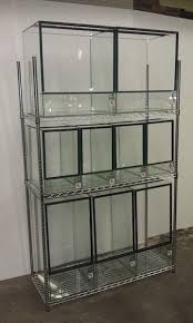 Image Result For Glass Vivarium Glass Terrarium Reptile Room Frog Terrarium
