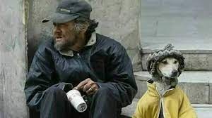Abgeordnete R Bzw Regierungsmitglied Ubernachtungsunterkunfte Fur Alle Obdachlose Und Ihre 4 Bein Human Kindness Faith In Humanity Restored Faith In Humanity