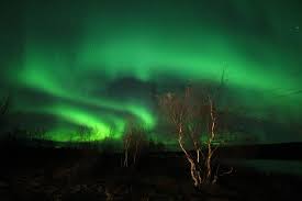 Nordlys is norwegian (and also danish) for northern lights. Nordlys Picture Of Thon Hotel Kautokeino Tripadvisor