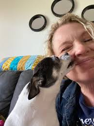 Update: Missing cat found and returning home