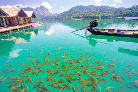 Check out viator's reviews and photos of surat thani tours. Province Of Surathani Surat Thani Thailand Trip Org