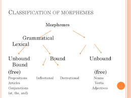 Morphemes are different to syllables. Morphemes Online Presentation