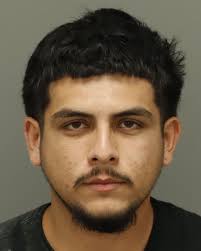 MARCELINO TORRES-LANDEROS