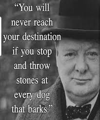 You cannot choose your battlefield, god does that for you; Pick Battles Wisely Some Dogs Are Wild I Lose Battles But I Win Wars I Go To The End I M A Career Ender Wise Quotes Churchill Quotes Positive Quotes