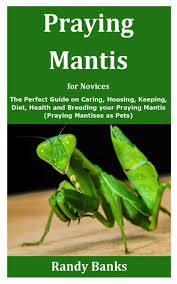 What is the real name of a praying mantis? Praying Mantis For Novices The Perfect Guide On Caring Housing Keeping Diet Health And Breeding Your Praying Mantis Praying Mantises As Pets Banks Randy Amazon De Books