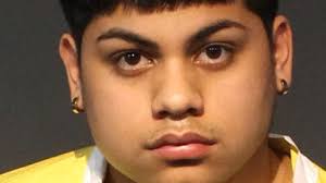 18-year-old arrested for Open Murder and Attempted Murder in Reno