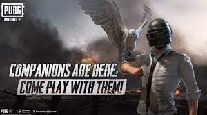 Get The Pubg Mobile Falcon Companion Now