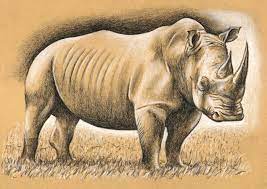Draw a picture of each holiday word on the screen and it will tell you what. How To Draw A Rhino With Charcoal And Chalk