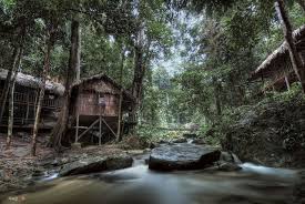 Includes permits, visits to waterfalls, orang asli village, jungle trekking, and the perfect full day excursion for those who wish to wander and explore the royal belum state park in a single day. Pin On Smz Orang Asli Moi Nu Moi