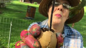 The Making Time Show