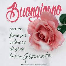 Il significato del colore delle rose. Fiori Whatsapp Immagini Di Buongiorno