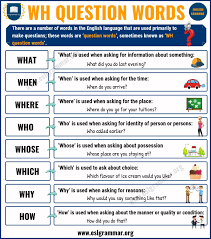 Wh Questions Words 8 Basic Question Words With Definition Useful Examples Esl Grammar Wh Questions This Or That Questions English Grammar Basic