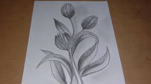 Kumpulan sketsa tari lili / paling populer 22+ bunga lili. Sketsa Bunga Lili