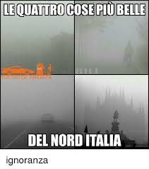 Stonk variants , or meme man wurds , represent the different variants of the famous stonks meme. 25 Best Memes About Nord Nord Memes