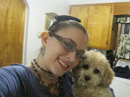 Are three dogs missing in New Castle, Delaware?