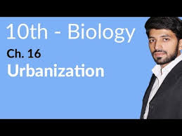 10th Class Biology Explain Urbanization Biology Chapter 16 Biology 10th Class Youtube