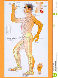 Traditional Chinese Acupuncture Chart Editorial Stock Photo