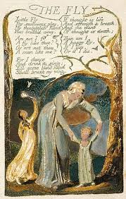 File Songs Of Innocence And Of Experience Copy F Object 48 The Fly 1794 Jpg William Blake Poems Blake Poetry William Blake Art