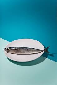 I M A Human Fish In A Bowl Pop Art Food Dark Food Photography Photography Tea