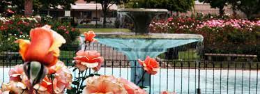 Originally, it was part of a prune orchard of about 11 acres, and was made a park in 1927. San Jose Municipal Rose Garden Wedding Sites City Of San Jose