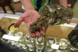 En ella solicitaba una autorización para poder hacer uso personal adulto de cocaína. Que Si Y Que No Podras Hacer Con El Uso Ludico De La Marihuana En Mexico