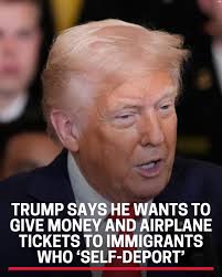 President Trump offered few details about the plan, including timing, but  said the U.S. would provide immigrants airfare and a stipend.