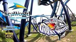 2019 Great White Roller Coaster On Ride Front Seat Ultra Hd 4k Pov Seawo Roller Coaster First Roller Coaster Sea World