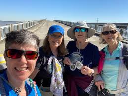 Hiking the 13-mile Hollywood Hills trail with a wildlife bridge