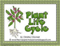Plant Life Cycle Teacher Book Minibook Anchor Chart Craftivity