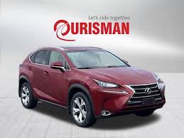 Image result for Autumn Shimmer 2017 NX