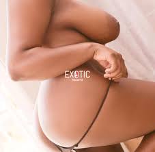 Transsexual Escorts - Sexy Zim Escorts, Hot Call Girls and Exotic Escort  Zimbabwe