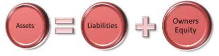 Differences Between Assets and Liabilities | Difference Between
