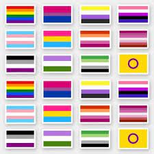 This flag was created in 2018 by daniel quasar in response to philly's updated pride flag. Flags Of The Lgbtq Pride Movements Sticker Zazzle Com In 2021 Lgbtq Flags Lgbtq Pride Pride Stickers
