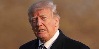 All the Attorneys Who Decided Not to Work