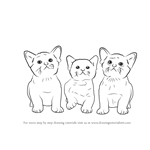 A lot of people asked me to make this 0.0 and now it's done. Cats Drawing Tutorials Step By Step Drawingtutorials101 Com