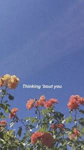 Poze de coperta pentru facebook | ask.fm/frumusetesfg. Blue Roses Tumblr Quotes Pin By Fefe Mya On Poze De Fundal Blue Roses Wallpaper Blue Dogtrainingobedienceschool Com