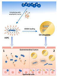 Phosphorothioate Oligonucleotides Separation In Ion-Pairing Reversed-Phase  Liquid Chromatography: Effect Of Ion-Pairing System - Sciencedirect