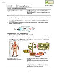 Soalan formatif sains tingkatan 3 bab 2 peredaran darah dan pengangkutannya. Bab3 Ting 3