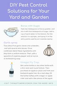 Apple cider vinegar won't kill the ants, but it could inhibit their hunt for food. Diy Pest Control Solutions For Your Yard And Garden The Naptime Reviewer