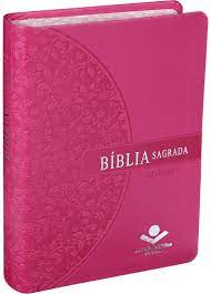 Biblia Sagrada Ra Pink Fuxia Letra Grande Sbb