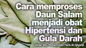 Manfaat daun salam untuk kesehatan. Cara Memproses Daun Salam Menjadi Obat Hipertensi Dan Gula Darah Audio Youtube