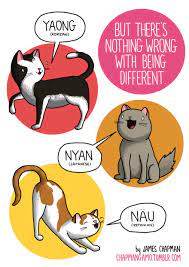 How Do Animals Sound In Different Languages Animal Sounds Cat Language Nyan Cat
