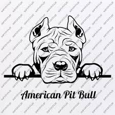 Download Pitbull