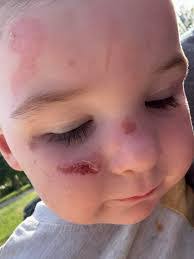 Kaitlin Bartholomew's Instagram, Twitter & Facebook