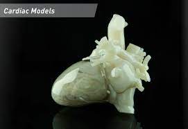 3d Print Your Heart Out With Materialise S Cardiac Models 3d Printing Service 3d Printing Industry 3d Printing