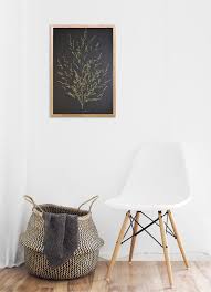 Decoration D Interieur Habillez Vos Mur De Ces Tableaux Jardin Sec Herbier Cosyhome Herbier Planche Botanique Jardin Sec