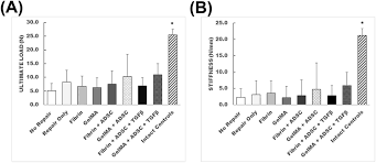 Das magazin des golf club gut lärchenhof. The Effect Of Adipose Derived Stem Cells On Enthesis Healing After Repair Of Acute And Chronic Massive Rotator Cuff Tears In Rats Journal Of Shoulder And Elbow Surgery